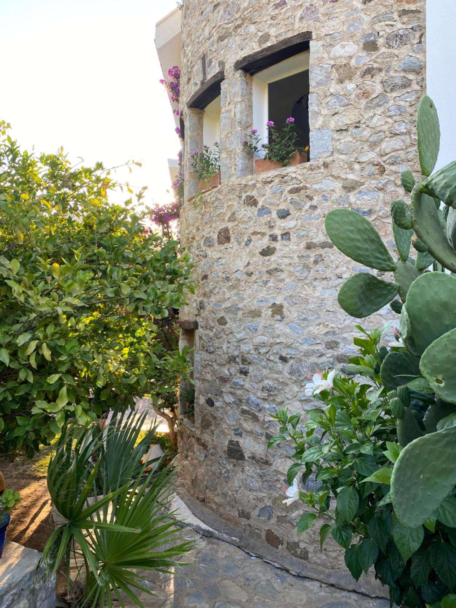 Hotel Villa Tokur ดัตชา ภายนอก รูปภาพ