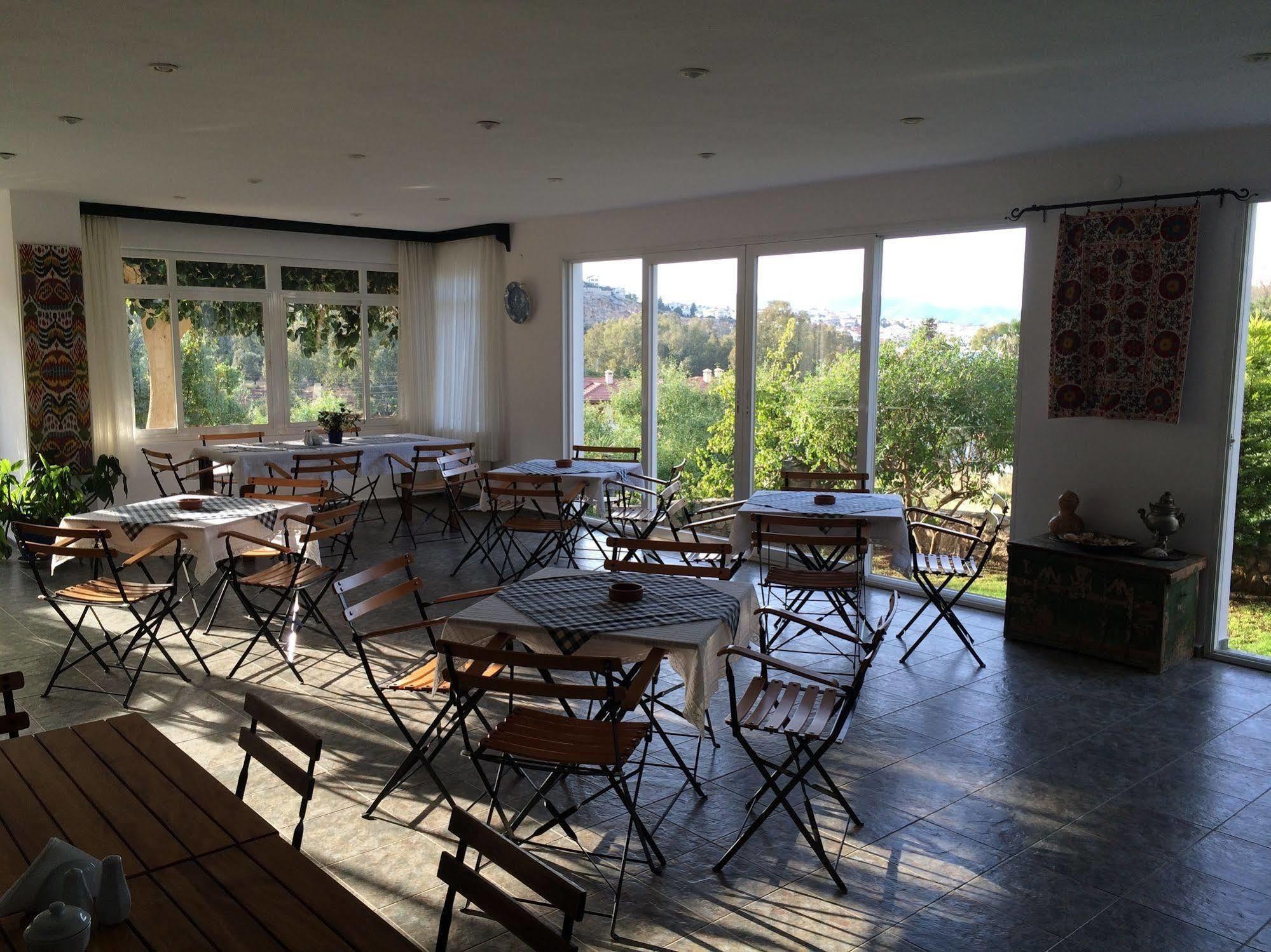 Hotel Villa Tokur ดัตชา ภายนอก รูปภาพ
